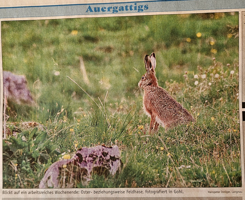 Dieses Foto wurde am 28. März 2024 in der Wochenzeitung veröffentlicht