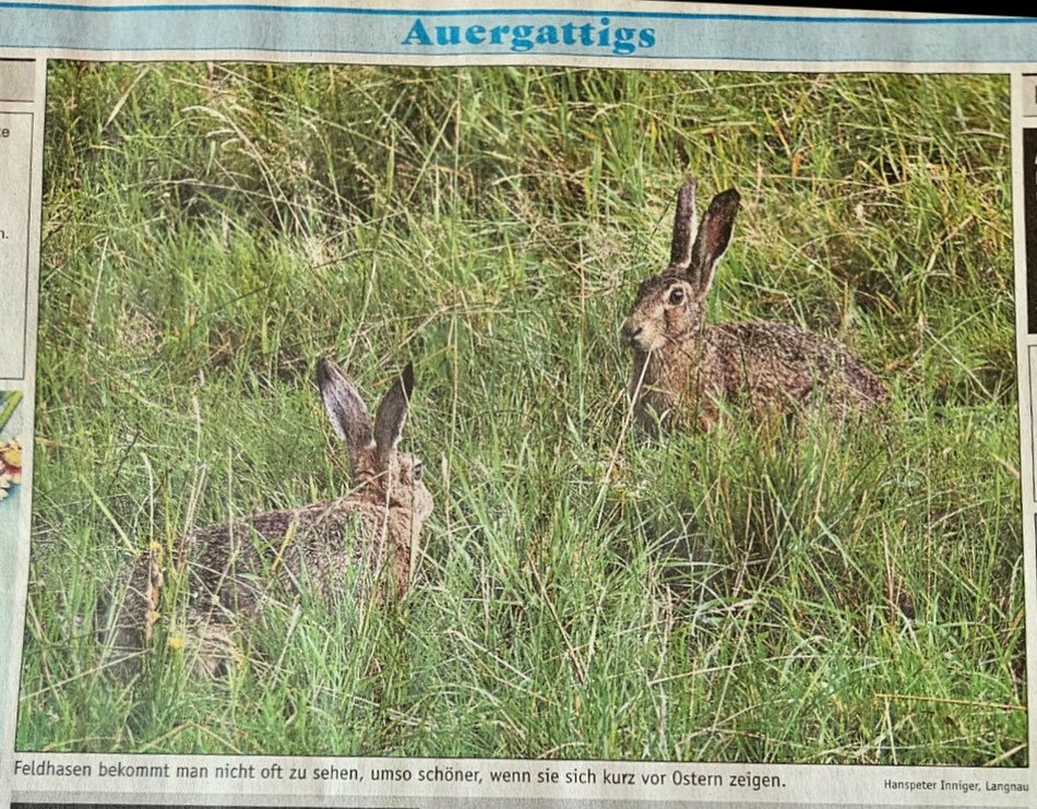 Dieses Foto wurde am 2. April 2026 in der Wochenzeitung Emmental und Entlebuch veröffentlicht.