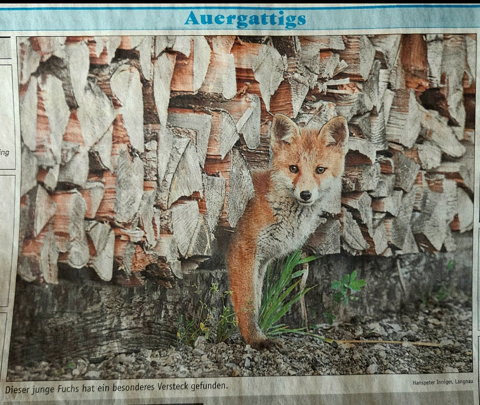 Dieses Foto wurde am 4. Juli 2024 in der Wochenzeitung Emmental und Entlebuch veröffentlicht.