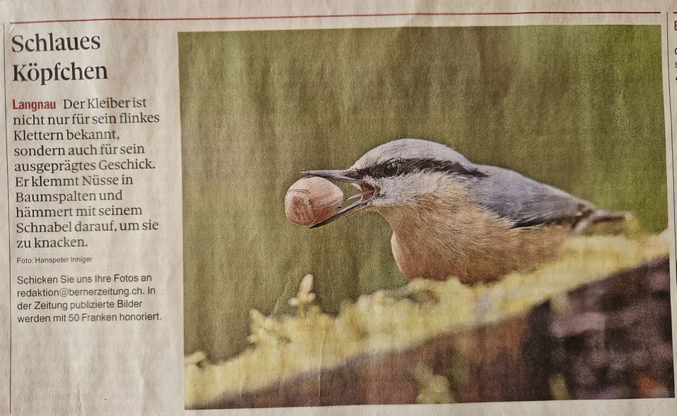 Dieses Foto wurde am 27. Mai 2024 in der BZ- und Thuner Tagblatt veröffentlicht 
