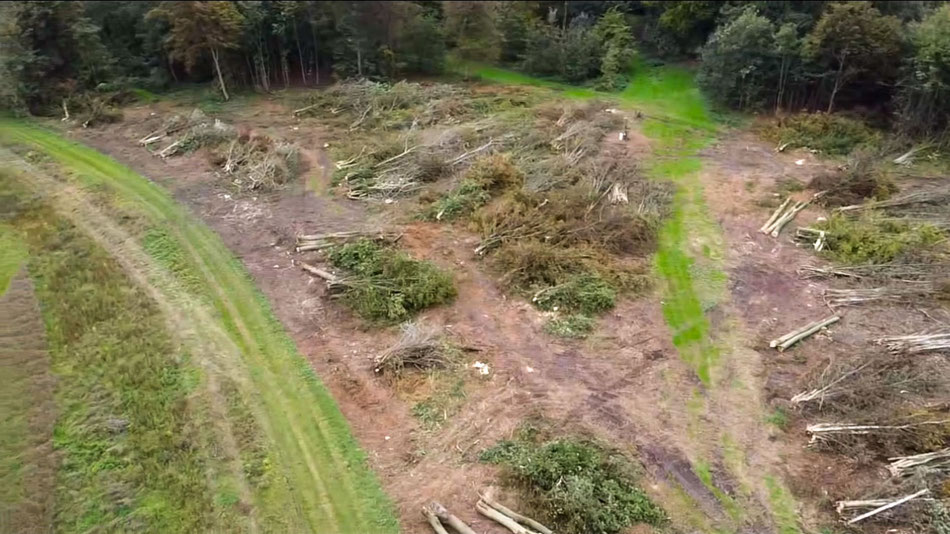 Déboisement Arbatax Hainaut et Namur