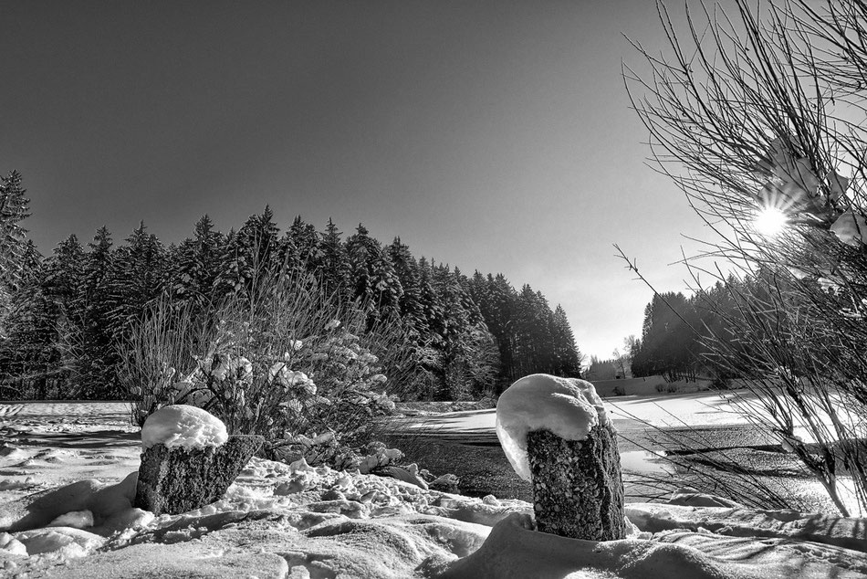 Schwarz-Weiss, Hüttenbühlsee, Sonnentag im Winter mit Schnee, Naturpark Schwäbisch-Fränkischer Wald