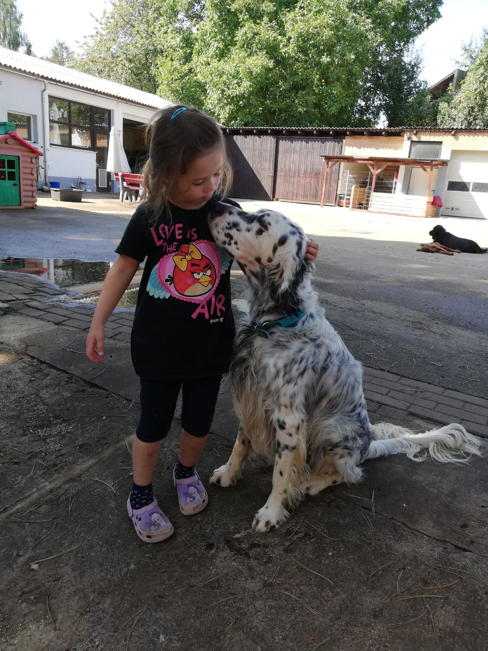 Luischi u. Luisa sind auch in Gedanken bei euch. Liebe Grüße von den English Setter Familien