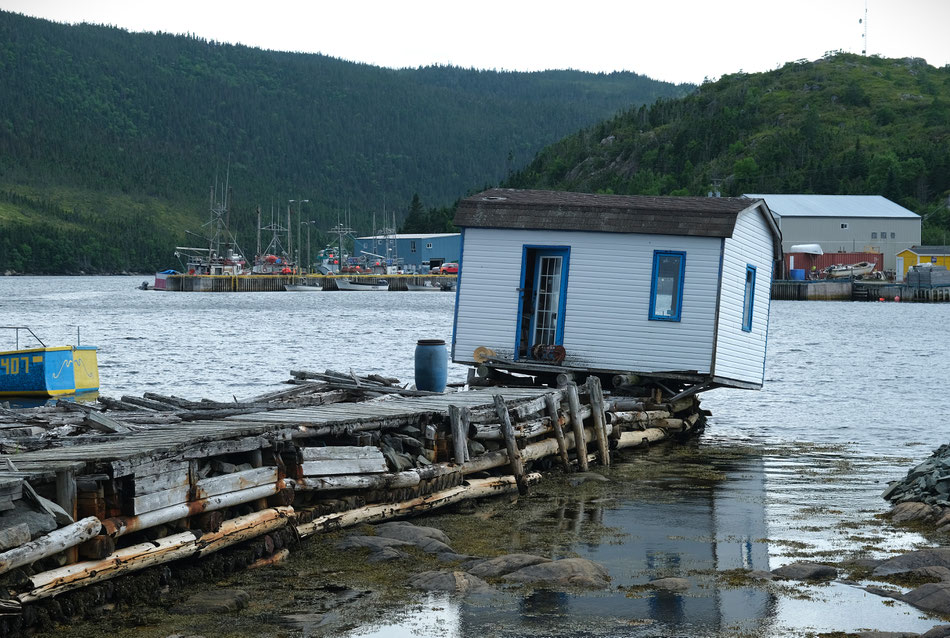 irgendwann kippt die Hütte in den Hafen