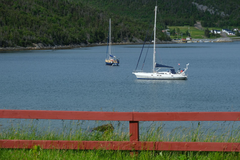 Ankerplatz Neddy Harbour / Bonne Bay