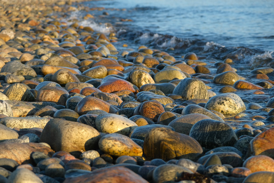 wunderschönes Abendlicht am Strand von Cow Head