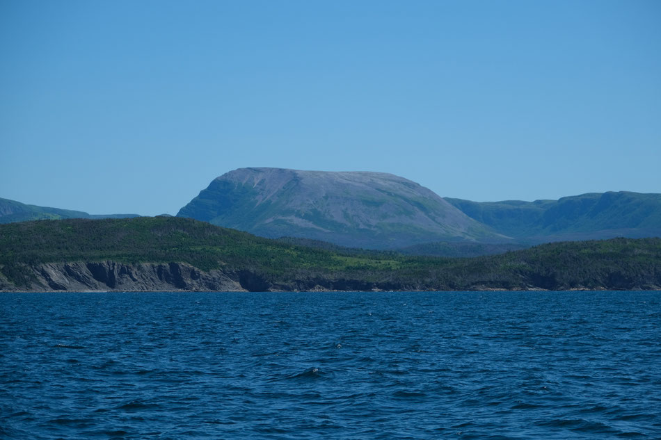 Der Gros Morne Mountain von See aus