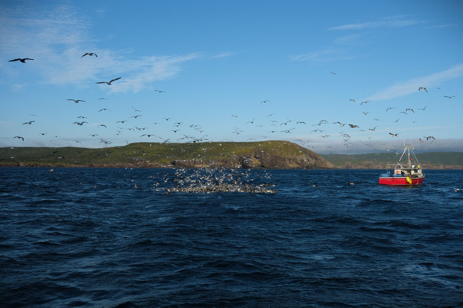 am Cape Spear - östlichstes Kap Nordamerikas