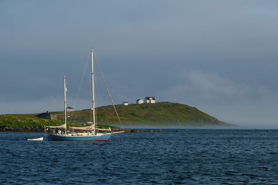 kurz lüftet sich der Nebel und wir sehen unseren Nachbarn in Red Bay 