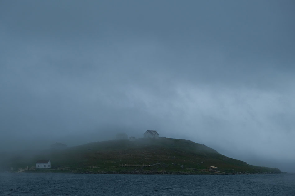 Saddle Island in der Einfahrt der Red Bay