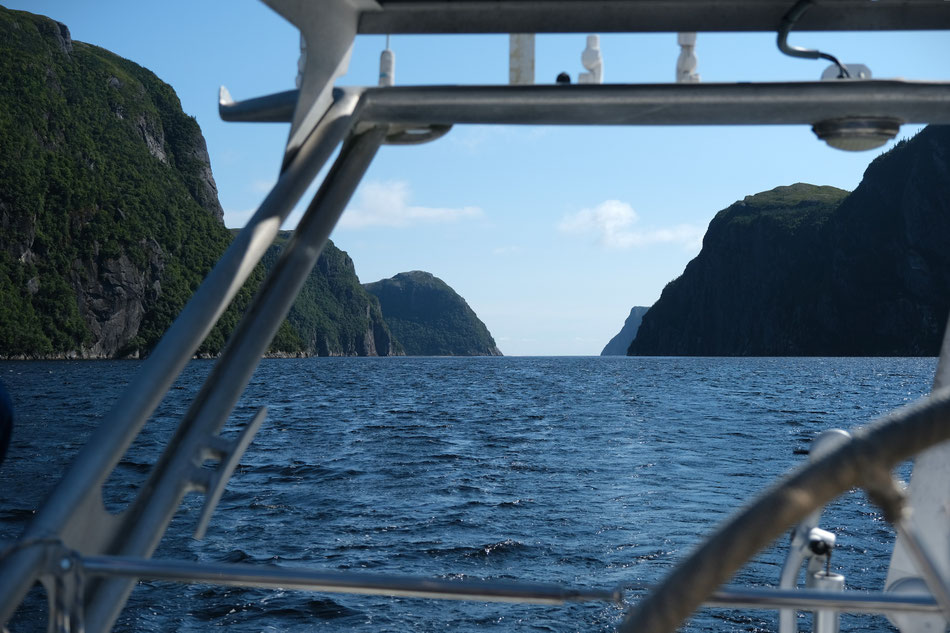 der tiefe Fjord der Hare Bay