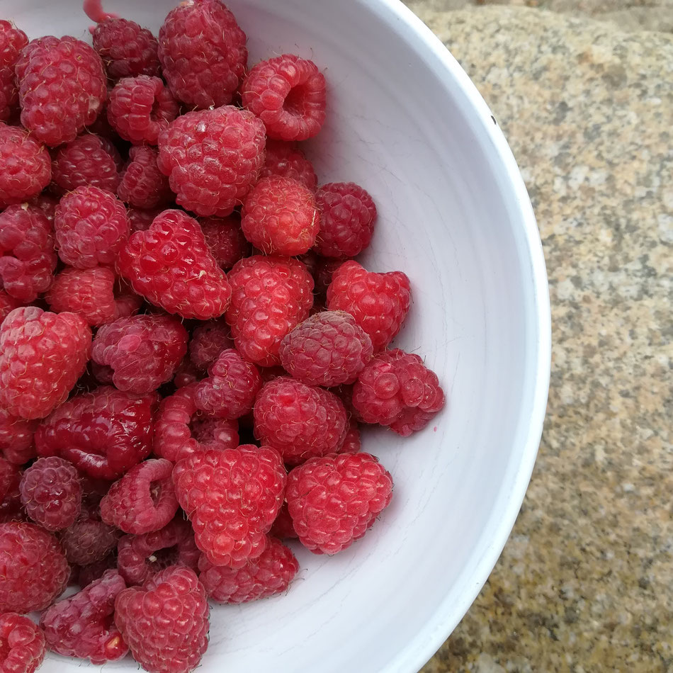 Délice du jardin... J'aime les manger chauffées par le soleil, ou j'en mets quelques unes dans le kéfir