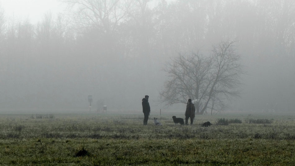 VOLKSPARK NIDDATAL