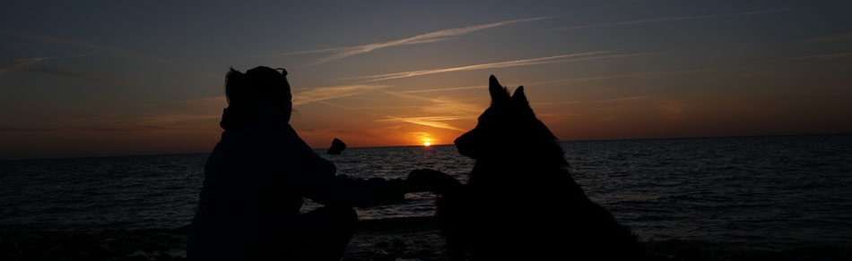 Tierphysiotherapeutin Claudia Ewald Enspannung mit Hund am Meer