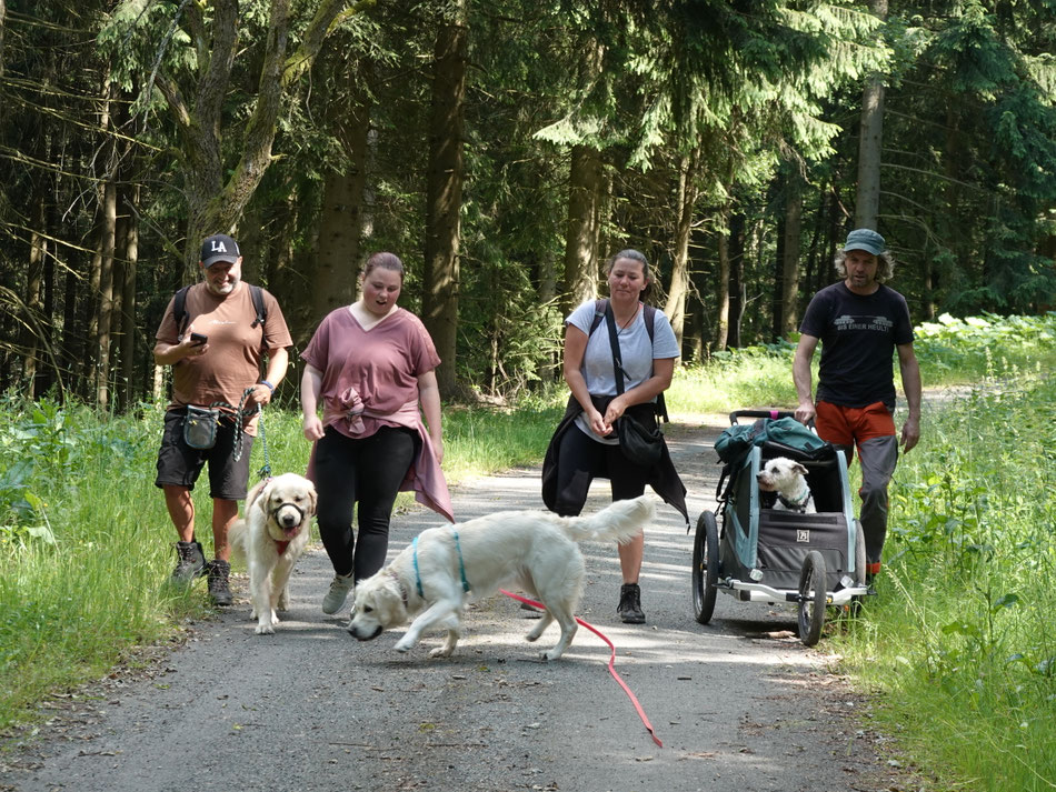 Als Hundewandergruppe unterwegs zu sein, macht Spaß, solange sich alle an die Regeln halten. 
