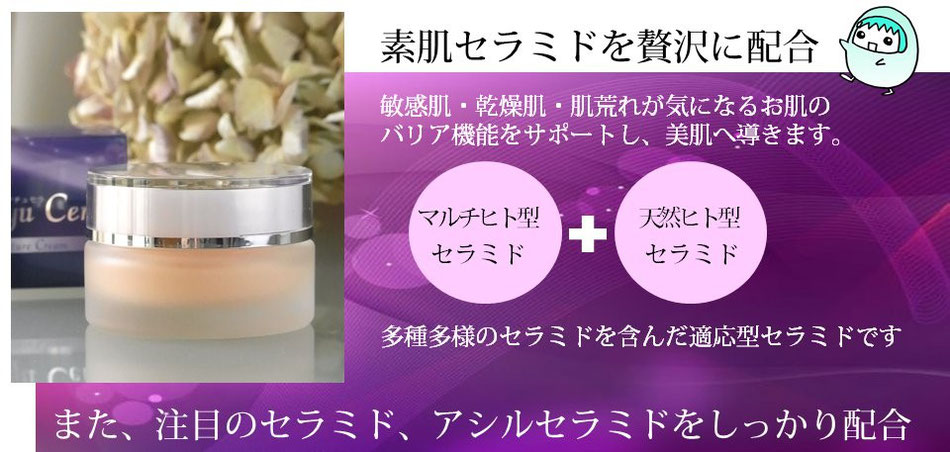 世界初！素肌セラミド配合ナチュセラクリーム - 天然ヒト型