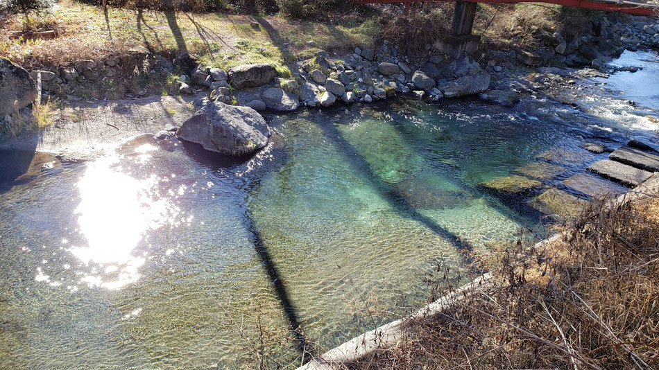 道志川は透明感がありますね。