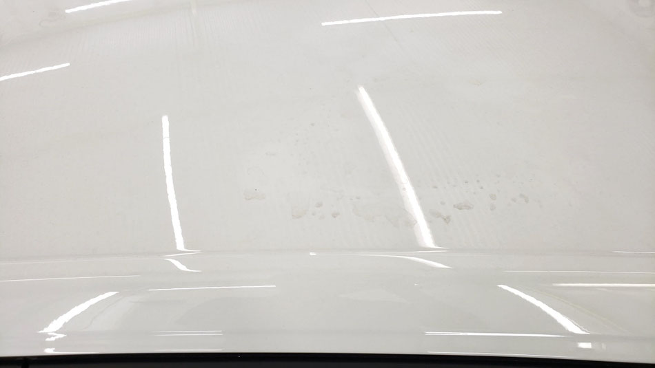 ポロGTI　ルーフに葉の色素がシミとして固着