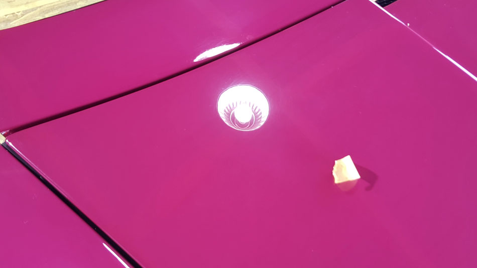 964ターボのボンネットの花粉染み除去