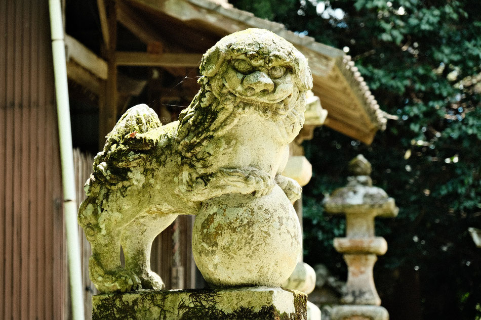 稲積六神社の狛犬