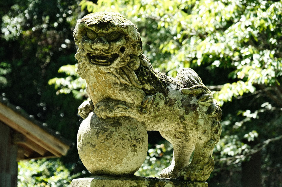 稲積六神社の狛犬
