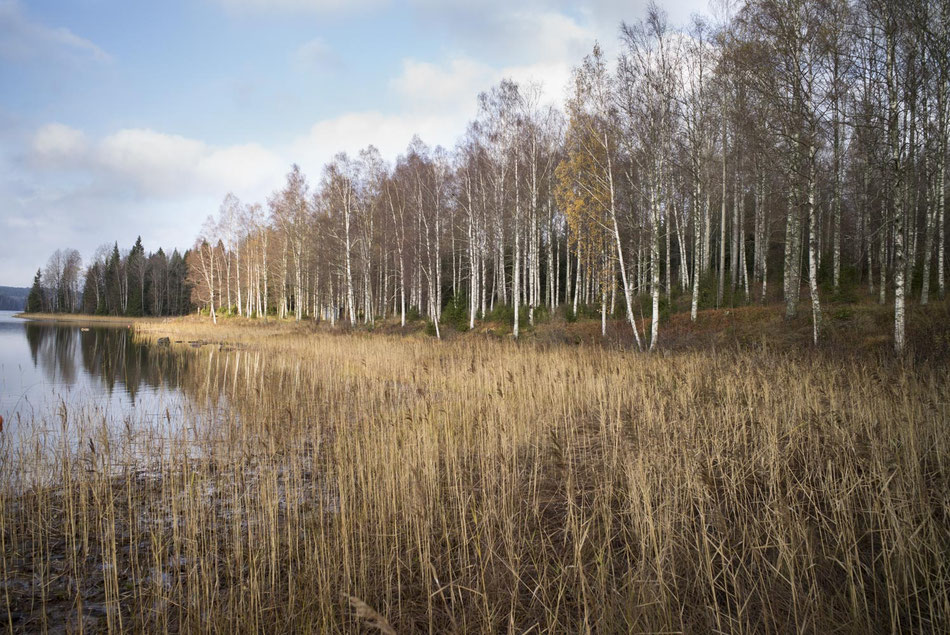 Fall in Dalsland Sweden  © François Struzik - simply human