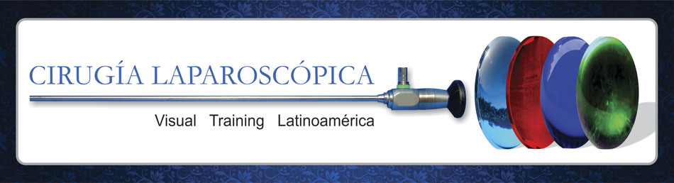 Página web de laparoscopicatraining