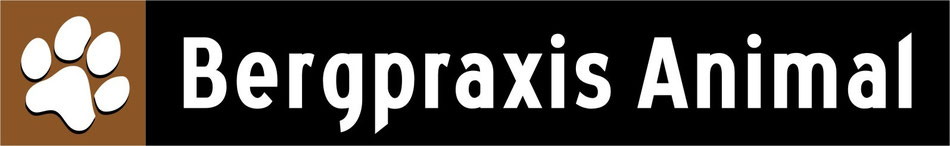 bergpraxis-animal, Tierarztpraxis Saanen