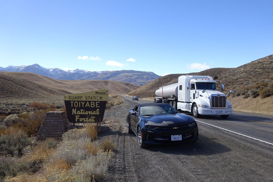 Bild: Camaro, Toiyabe National Forest, Nevada, USA, America Roadtrip, HDW-USA