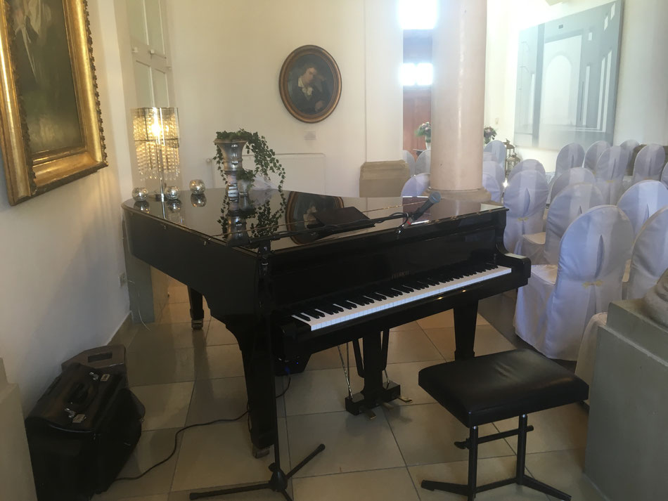 Pianist und Sänger für Hochzeiten