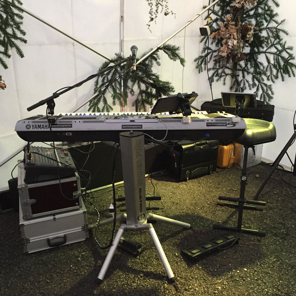Musiker für Weihnachtsfeiern in Stuttgart