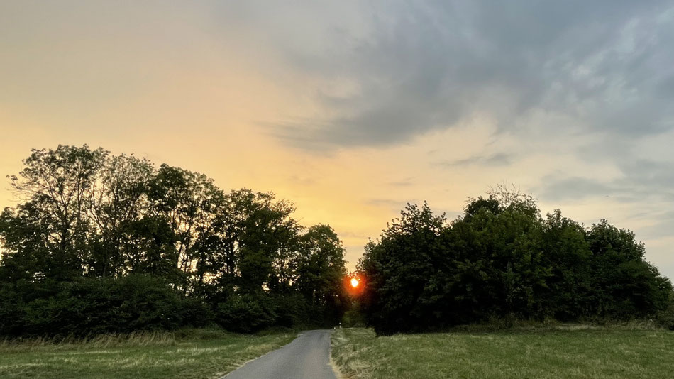 Sonnenuntergang hinter Bäumen, im Vordergrund in der Mitte eine kleine Strasse, Wiesen, im Hintergrund Abendhimmel