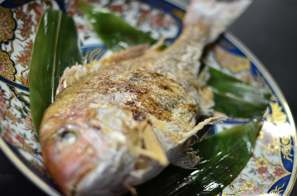 藤右エ門南店 祝姿鯛塩焼