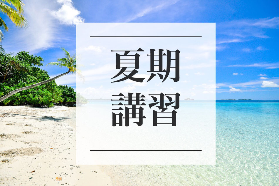 小論文塾　夏期講習