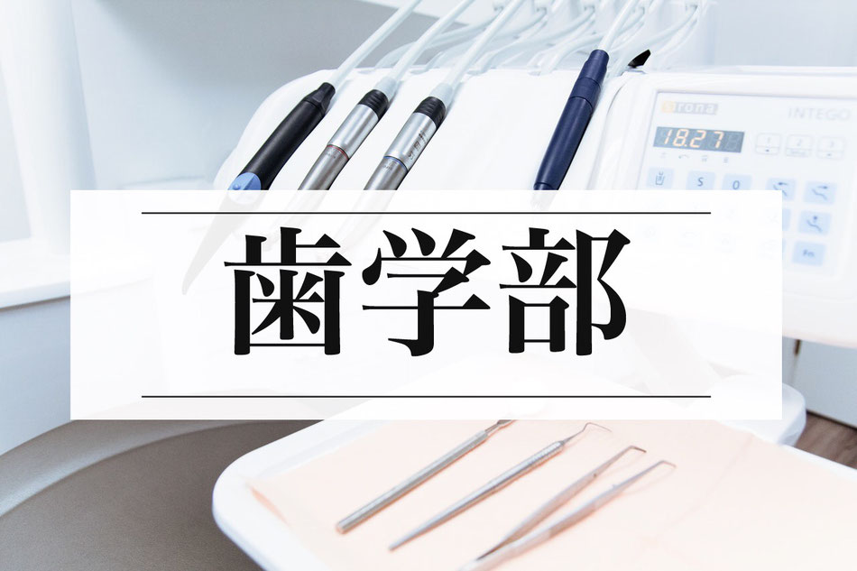 歯学部小論文塾・歯学部志望理由書塾・歯学部面接対策塾