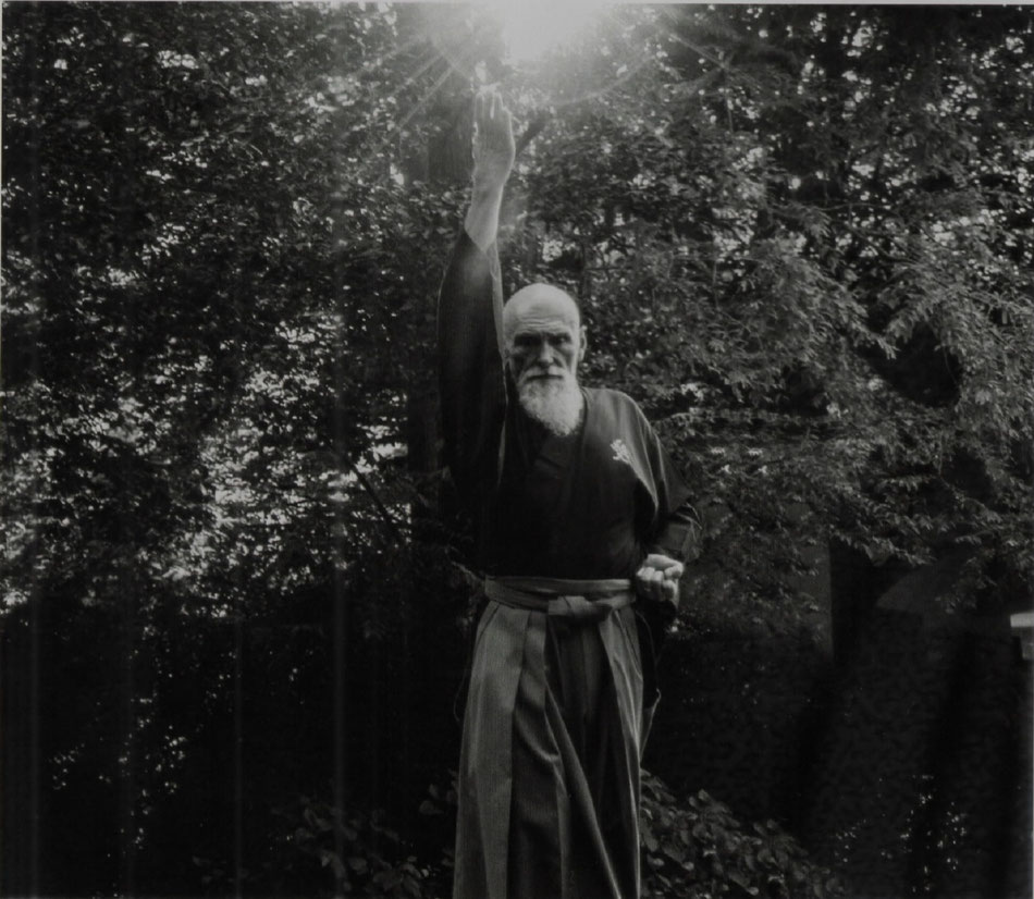 immagine raffigurante il Sensei che ha chiarito il significato di Chushin