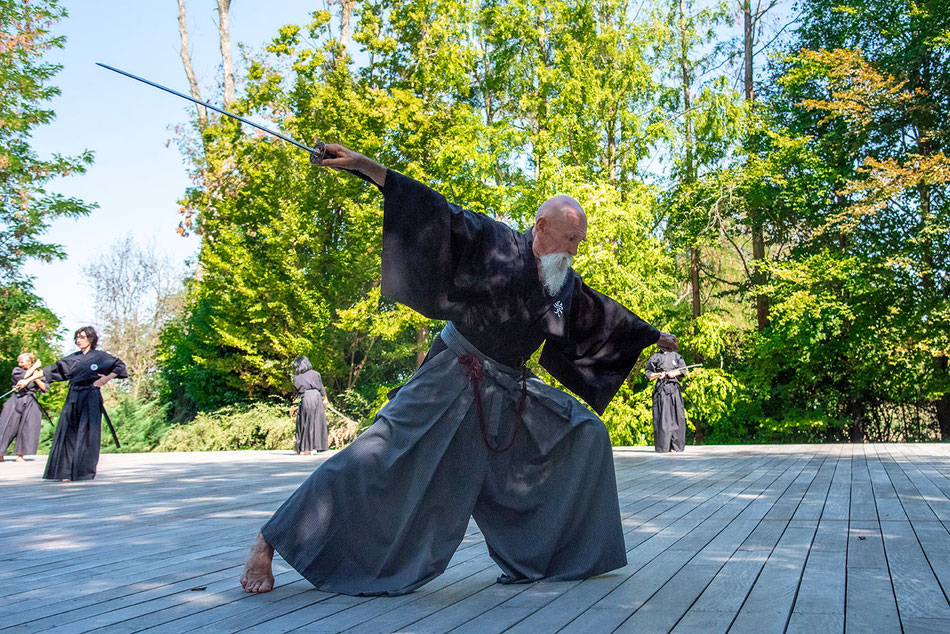 Sensei Maharishi Sathyananda che esegue una tecnica di Ai Jutsu