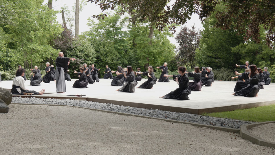 ai jutsu cambiamento arte marziale arti marziali dojo maharishi sathyananda evoluzione