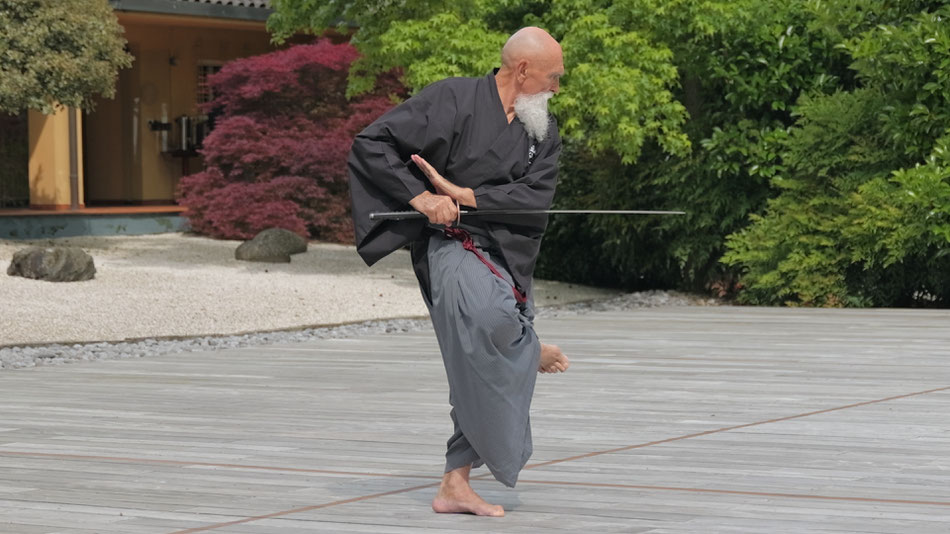 arti marziali - sensei - kata - ai jutsu - sensei maharishi sathyananda -dojo maharishi sathyananda