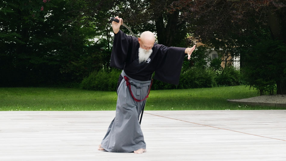 Ai Jutsu - Sensei Maharishi Sathyananda - armonia - perfezione - gesto