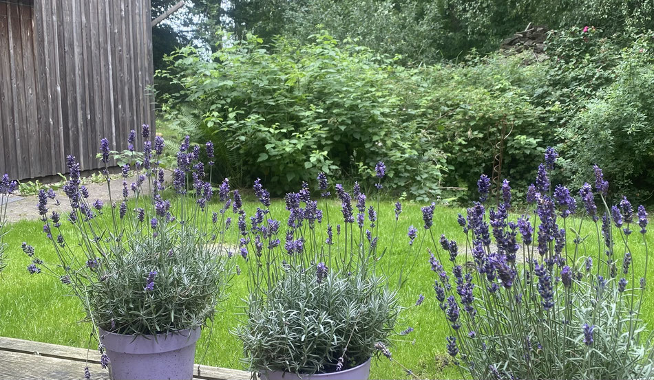 Inspirare Retreat Center, Nähe Bremen