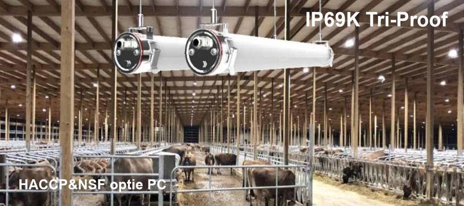 IP69K Tri-Proof Led luminaires, stainless steel with PC or HACCP-NSF housing, can be sprayed up to 100Bar, Can be linked. Also as Industrial Emergency Lighting 15-20Lux or as escape route indication or orientation lighting in case of power failure BBM Led