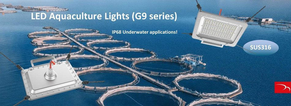 Led onderwaterverlichting IP68 RVS behuizing, uitlichting aquarium, onderwaterobjecten, inspectie tot 20mtr diep BBM Ledproducts