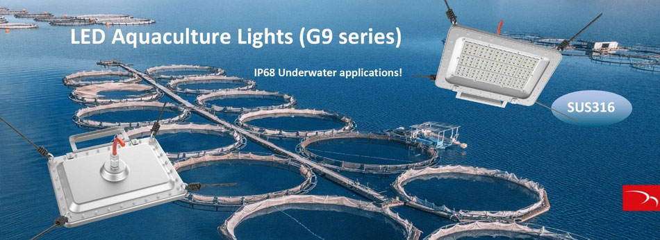 LED undervannsbelysning IP68 rustfritt stålhus, spesiell bølgelengde for å drepe lakselus, belysning av akvarium, undervannsobjekter, inspeksjon opptil 20 meter dyp BBM Ledproducts
