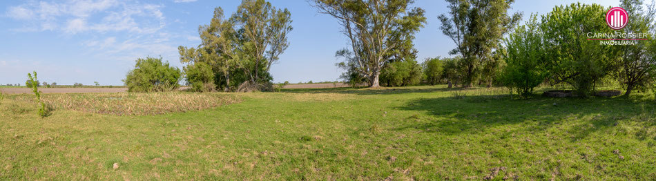 Carina Rossier Inmobiliaria Vende Campo en Arroyo Barú, Entre Ríos. Se venden 58 hectáreas de campo en zona Colonia San Huberto Entre Ríos. #Campo #Ganadería #Agricultura #EntreRíos #CamposEntrerrianos Comercializa Carina Rossier Inmobiliaria VCAM-012