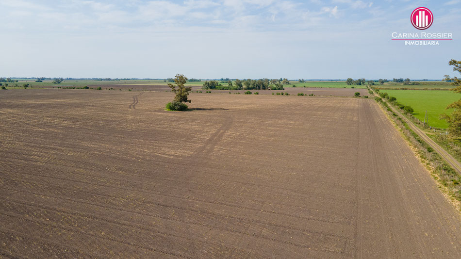 Carina Rossier Inmobiliaria Vende Campo en Arroyo Barú, Entre Ríos. Se venden 58 hectáreas de campo en zona Colonia San Huberto Entre Ríos. #Campo #Ganadería #Agricultura #EntreRíos #CamposEntrerrianos Comercializa Carina Rossier Inmobiliaria VCAM-012
