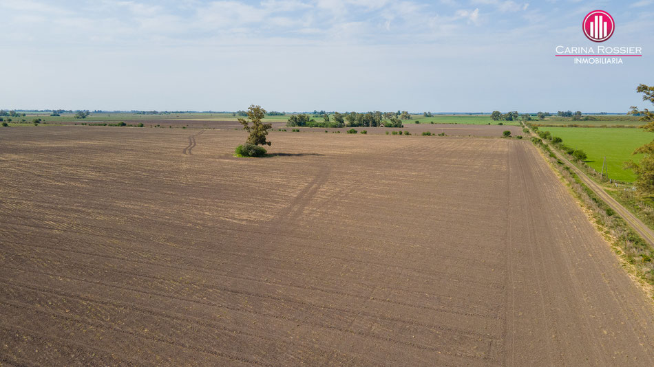 Carina Rossier Inmobiliaria Vende Campo en Arroyo Barú, Entre Ríos. Se venden 58 hectáreas de campo en zona Colonia San Huberto Entre Ríos. #Campo #Ganadería #Agricultura #EntreRíos #CamposEntrerrianos Comercializa Carina Rossier Inmobiliaria VCAM-012