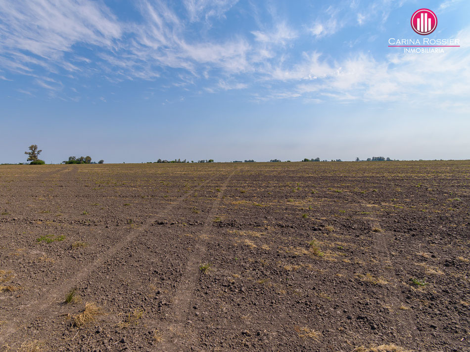 Carina Rossier Inmobiliaria Vende Campo en Arroyo Barú, Entre Ríos. Se venden 58 hectáreas de campo en zona Colonia San Huberto Entre Ríos. #Campo #Ganadería #Agricultura #EntreRíos #CamposEntrerrianos Comercializa Carina Rossier Inmobiliaria VCAM-012