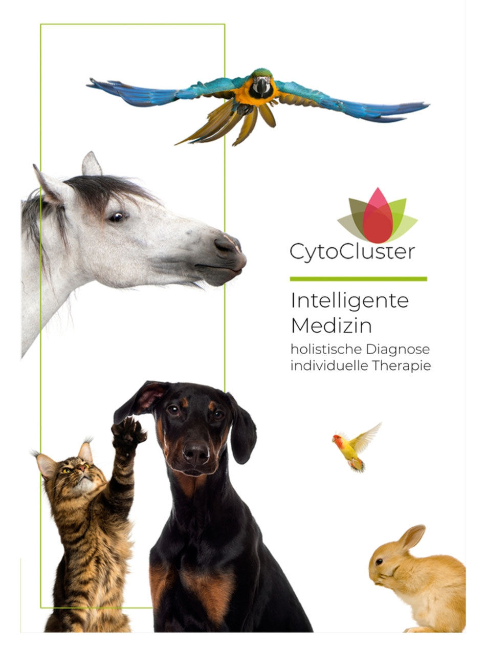 Bild Quelle: CytoCluster