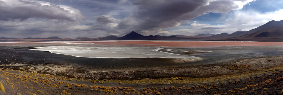 Laguna Colorada